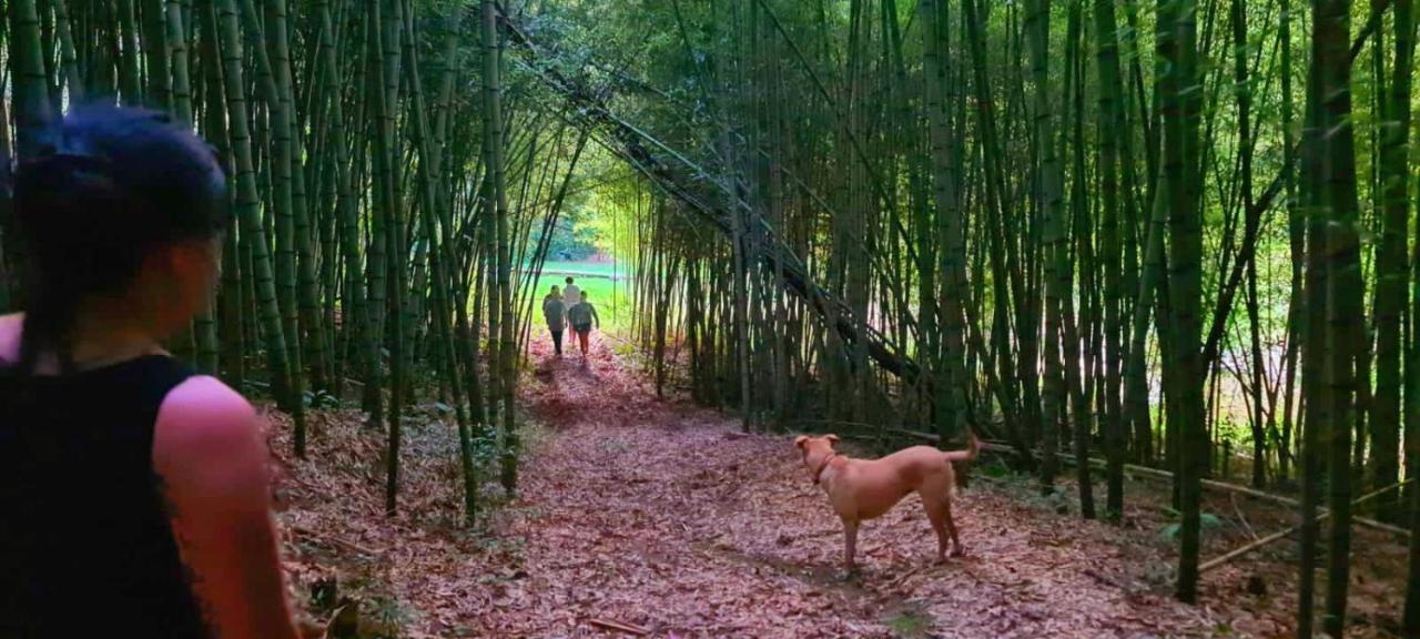 Pousada Green Valley São Roque Buitenkant foto